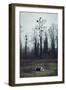 Roll of asparagus foil at the edge of a wood, lying in the grass-Axel Killian-Framed Photographic Print