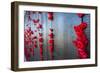 Roll of Honour at the Australian War Memorial, Canberra, Australian Capital Territory, Australia-Michael Runkel-Framed Photographic Print