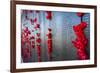 Roll of Honour at the Australian War Memorial, Canberra, Australian Capital Territory, Australia-Michael Runkel-Framed Photographic Print