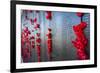 Roll of Honour at the Australian War Memorial, Canberra, Australian Capital Territory, Australia-Michael Runkel-Framed Photographic Print