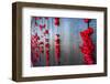 Roll of Honour at the Australian War Memorial, Canberra, Australian Capital Territory, Australia-Michael Runkel-Framed Photographic Print