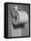 Roll of Toilet Paper, Illustrating the Shortage-Nina Leen-Framed Stretched Canvas