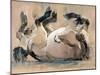 Roll, (Przewalski), 2014-Mark Adlington-Mounted Giclee Print