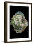 Roll Up, 2010-Tony Todd-Framed Giclee Print