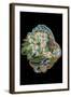 Roll Up, 2010-Tony Todd-Framed Giclee Print