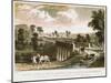 Rolle Canal and Aqueduct, Near Torrington, Devon, 1829-T Dixon-Mounted Giclee Print