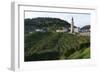 Rolle, Valdobbiadene, Veneto, Italy, Europe-Sergio Pitamitz-Framed Photographic Print