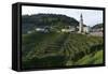 Rolle, Valdobbiadene, Veneto, Italy, Europe-Sergio Pitamitz-Framed Stretched Canvas