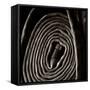 Rolled Hose-Lydia Marano-Framed Stretched Canvas