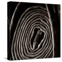 Rolled Hose-Lydia Marano-Stretched Canvas