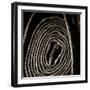 Rolled Hose-Lydia Marano-Framed Photographic Print