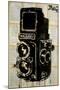 Rolleiplex Camera-Loui Jover-Mounted Giclee Print