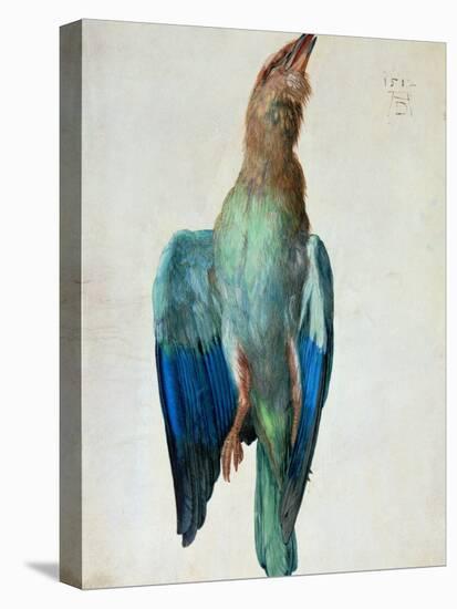 Roller (Bird), 1512-Albrecht Dürer-Stretched Canvas