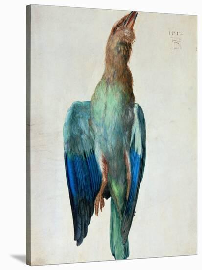 Roller (Bird), 1512-Albrecht Dürer-Stretched Canvas