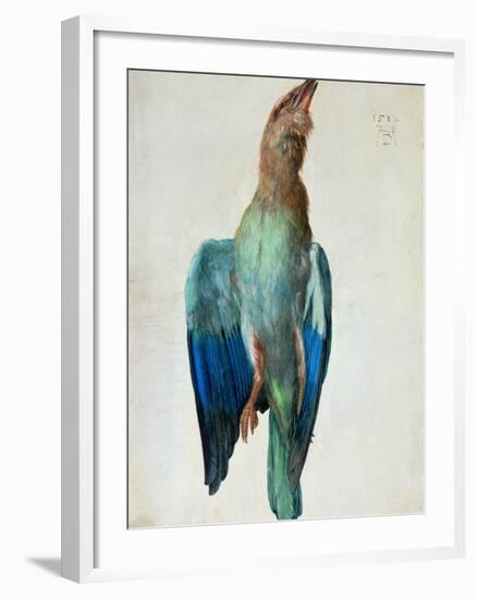 Roller (Bird), 1512-Albrecht Dürer-Framed Giclee Print