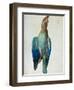 Roller (Bird), 1512-Albrecht Dürer-Framed Giclee Print