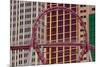 Roller Coaster, New York New York Hotel, Strip, South Las Vegas Boulevard, Las Vegas, Nevada, Usa-Rainer Mirau-Mounted Photographic Print