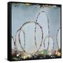 Roller Coaster Rainbow-Sydney Edmunds-Framed Stretched Canvas