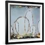 Roller Coaster Rainbow-Sydney Edmunds-Framed Giclee Print