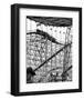 Roller Coaster-null-Framed Giclee Print