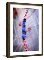 Roller Coaster-null-Framed Photographic Print