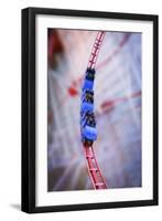 Roller Coaster-null-Framed Photographic Print