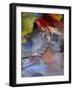 Roller Derby III-Ruth Palmer-Framed Art Print