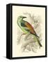 Roller-Sir William Jardine-Framed Stretched Canvas