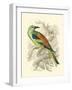 Roller-Sir William Jardine-Framed Art Print