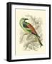 Roller-Sir William Jardine-Framed Art Print