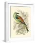 Roller-Sir William Jardine-Framed Art Print