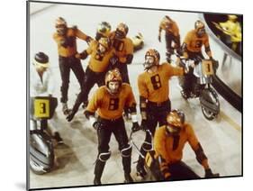 Rollerball-null-Mounted Photo