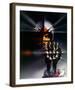 Rollerball-null-Framed Photo