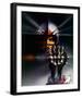 Rollerball-null-Framed Photo