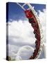 Rollercoaster, Sea World, Gold Coast, Queensland, Australia-David Wall-Stretched Canvas