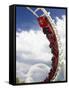 Rollercoaster, Sea World, Gold Coast, Queensland, Australia-David Wall-Framed Stretched Canvas