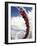 Rollercoaster, Sea World, Gold Coast, Queensland, Australia-David Wall-Framed Photographic Print