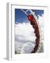 Rollercoaster, Sea World, Gold Coast, Queensland, Australia-David Wall-Framed Photographic Print