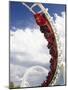 Rollercoaster, Sea World, Gold Coast, Queensland, Australia-David Wall-Mounted Photographic Print