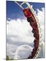 Rollercoaster, Sea World, Gold Coast, Queensland, Australia-David Wall-Mounted Photographic Print
