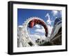 Rollercoaster, Sea World, Gold Coast, Queensland, Australia-David Wall-Framed Photographic Print