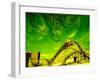 Rollercoaster, the Cyclone Rollercoaster, Astroland, Coney Island, Brooklyn, New York City-null-Framed Photographic Print