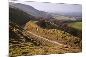 Rolling Countryside Landscape on Hazy Summer Evening-Veneratio-Mounted Photographic Print