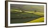 Rolling countryside near Oare, Exmoor National Park, Somerset, England. Autumn 2009.-Adam Burton-Framed Photographic Print