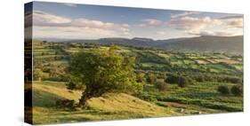 Rolling Countryside of the Brecon Beacons Near Crickhowell, South Wales-Adam Burton-Stretched Canvas