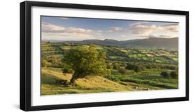 Rolling Countryside of the Brecon Beacons Near Crickhowell, South Wales-Adam Burton-Framed Photographic Print