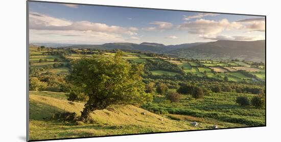 Rolling Countryside of the Brecon Beacons Near Crickhowell, South Wales-Adam Burton-Mounted Photographic Print