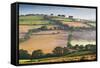 Rolling Countryside on a Misty Morning, Mid Devon, England. Autumn (September)-Adam Burton-Framed Stretched Canvas
