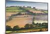 Rolling Countryside on a Misty Morning, Mid Devon, England. Autumn (September)-Adam Burton-Mounted Photographic Print