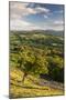 Rolling Countryside Surrounding the Usk Valley, Brecon Beacons National Park, Powys, Wales. Summer-Adam Burton-Mounted Photographic Print